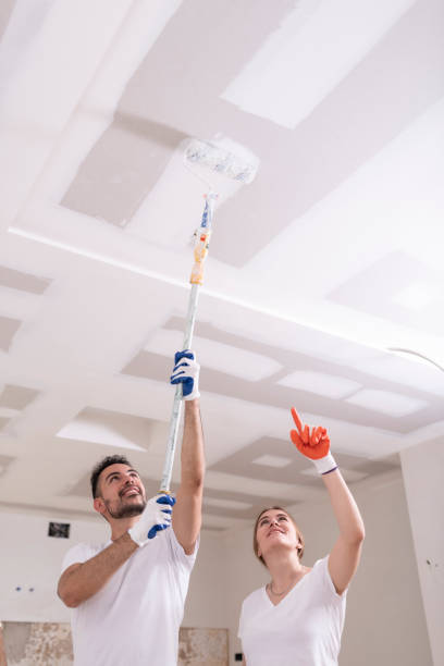 Best Ceiling Drywall Installation  in Spring Grove, IL